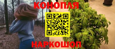 прущие крисы Кулебаки