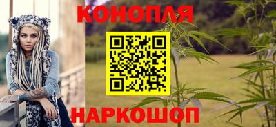 прущие крисы Кулебаки