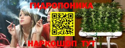 прущие крисы Кулебаки